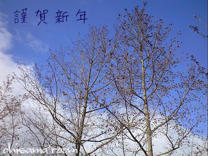 2009010101sl.jpg
