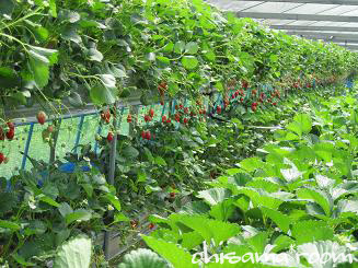 2009050202s.jpg