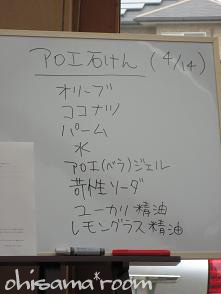 2009051915s.jpg