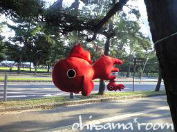 2009080801s.jpg
