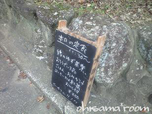 2009081504s.jpg