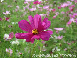 2009092101s.jpg