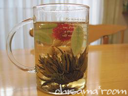 2010020701s.jpg