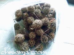 2010030309s.jpg