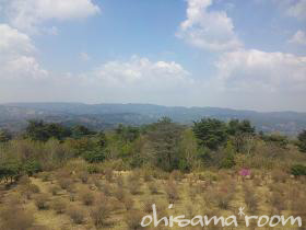 2010050104s.JPG