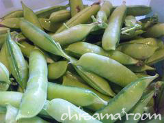 2010052301s.jpg