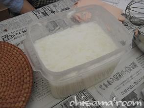 2010070117s.jpg