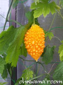 2010081402s.jpg