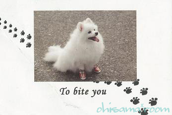 20120321R1-ab20.jpg