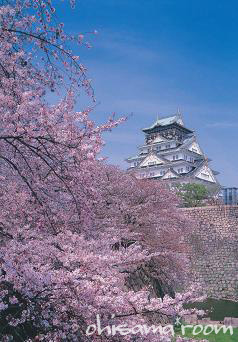 20120326-a.jpg