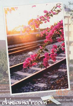 20120402R-ab20.jpg