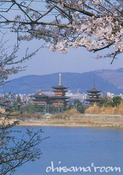 20120411s1-ab20.jpg