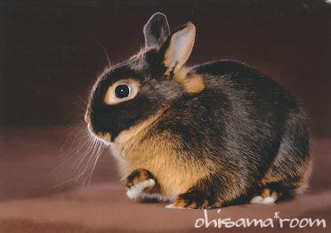 20120416R1-ab20.jpg