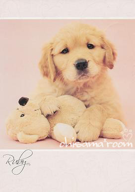 20120416R2-ab20.jpg